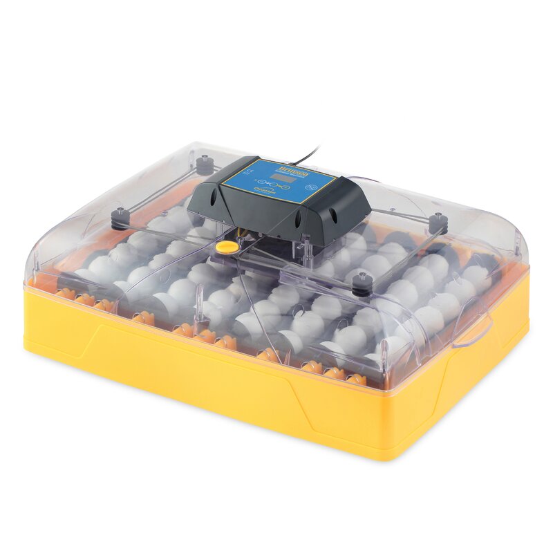 Ideal temperature egg incubator